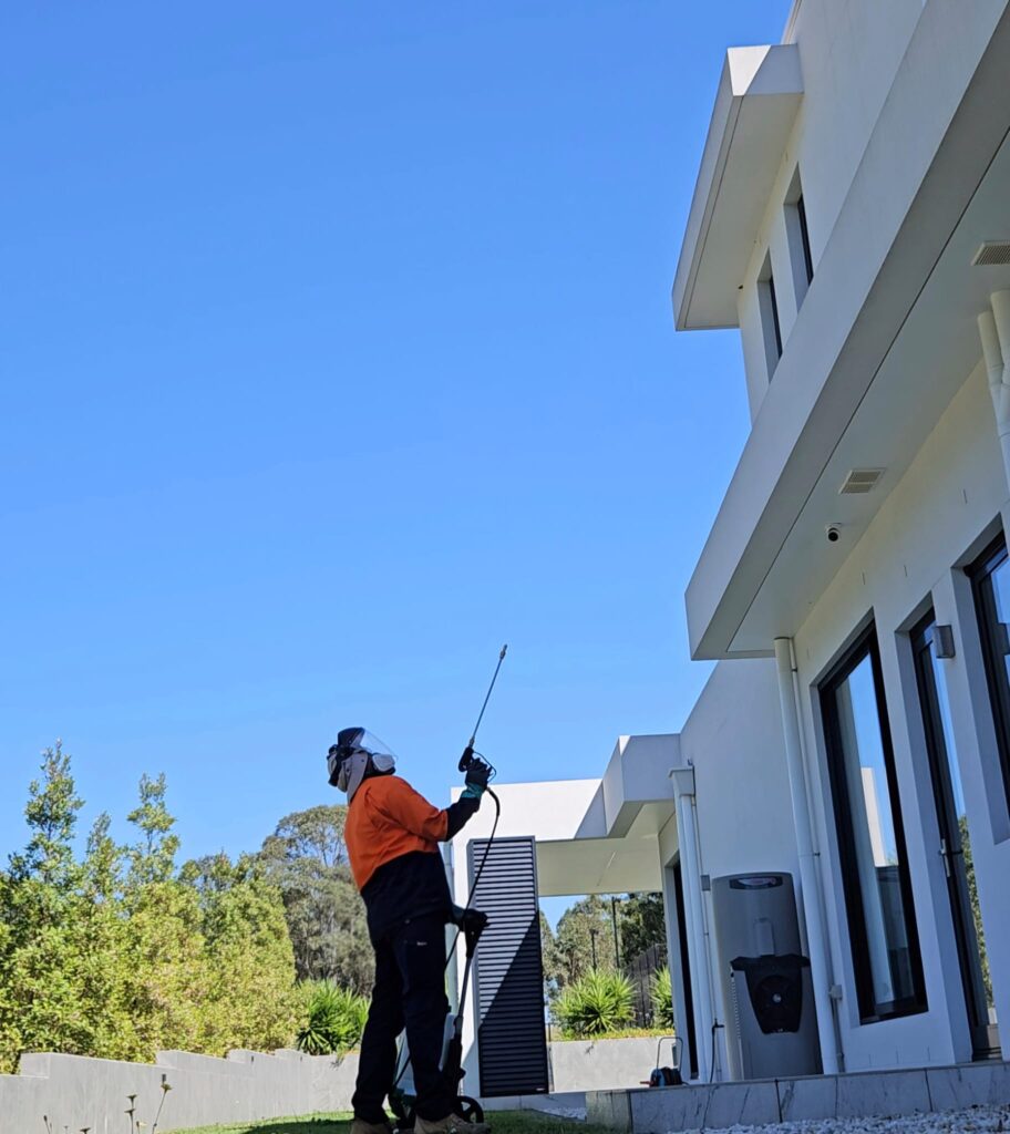 Clean pest controller spraying